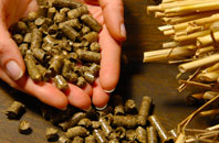 free Twitchen Mill biomass boiler quotes